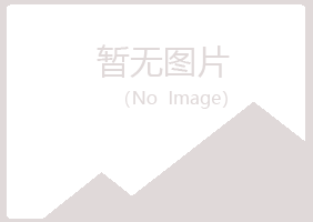 含山县埋没计算机有限公司